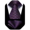 image:imageHISDERN Polka Dot Ties for Men Classic Silk Ties and Pocket Square Formal Business Necktie Handkerchief Wedding PartyGpurple