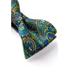 image:imageHISDERN Bow Ties for Men Paisley Bowties Mens Self Tie Bow Tie and Pocket Square Set Formal Tuxedo Wedding BowtieGreen  Black1