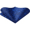 image:imageHISDERN Bow Ties for Men Paisley Bowties Mens Self Tie Bow Tie and Pocket Square Set Formal Tuxedo Wedding BowtieRoyal Blue