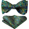 image:imageHISDERN Bow Ties for Men Paisley Bowties Mens Self Tie Bow Tie and Pocket Square Set Formal Tuxedo Wedding BowtieGreen  Black1