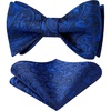 image:imageHISDERN Bow Ties for Men Paisley Bowties Mens Self Tie Bow Tie and Pocket Square Set Formal Tuxedo Wedding BowtieRoyal Blue