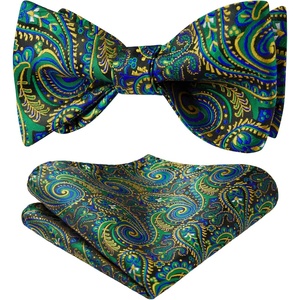 image:imageHISDERN Bow Ties for Men Paisley Bowties Mens Self Tie Bow Tie and Pocket Square Set Formal Tuxedo Wedding BowtieGreen  Black1