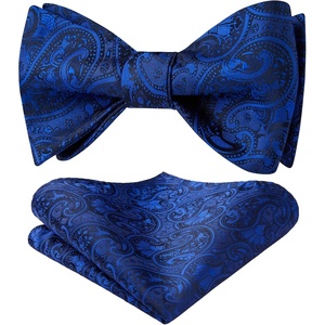 image:imageHISDERN Bow Ties for Men Paisley Bowties Mens Self Tie Bow Tie and Pocket Square Set Formal Tuxedo Wedding BowtieRoyal Blue