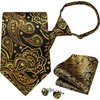 image:imageHISDERN Pre Tied Ties for Men Paisley Solid Striped Necktie and Pocket Square Cufflinks Set Formal Wedding Neck TieBgoldPaisley