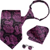 image:imageHISDERN Pre Tied Ties for Men Paisley Solid Striped Necktie and Pocket Square Cufflinks Set Formal Wedding Neck TieBhot PinkPaisley