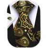 image:imageHISDERN Pre Tied Ties for Men Paisley Solid Striped Necktie and Pocket Square Cufflinks Set Formal Wedding Neck TieBgoldPaisley