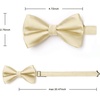 image:imageHISDERN Bow Ties for Men Champagne Solid Color Pretied Bow Tie and Pocket Square Set Classic Formal Tuxedo Stain Bowties for Wedding Party