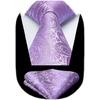 image:imageHISDERN Extra Long Ties for Men Classic Floral Tie and Pocket Square Elegant Silk Necktie Handkerchief Set Wedding PartyC21purple