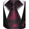 image:imageHISDERN Formal Floral Ties for Men and Pocket Square Set Mens Paisley Silk Tie for Wedding Party 34 x 59Black  Red Paisley