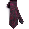 image:imageHISDERN Formal Floral Ties for Men and Pocket Square Set Mens Paisley Silk Tie for Wedding Party 34 x 59Black  Red Paisley