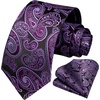 image:imageHISDERN Formal Floral Ties for Men and Pocket Square Set Mens Paisley Silk Tie for Wedding Party 34 x 59Paisley Dark Purple