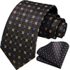 image:imageHISDERN Formal Floral Ties for Men and Pocket Square Set Mens Paisley Silk Tie for Wedding Party 34 x 59Plaid Black