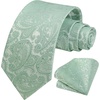image:imageHISDERN Formal Floral Ties for Men and Pocket Square Set Mens Paisley Silk Tie for Wedding Party 34 x 59Sage Green Paisley
