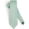 image:imageHISDERN Formal Floral Ties for Men and Pocket Square Set Mens Paisley Silk Tie for Wedding Party 34 x 59Sage Green Paisley