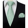 image:imageHISDERN Formal Floral Ties for Men and Pocket Square Set Mens Paisley Silk Tie for Wedding Party 34 x 59Sage Green Paisley