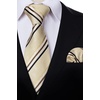 image:imageHISDERN Formal Floral Ties for Men and Pocket Square Set Mens Paisley Silk Tie for Wedding Party 34 x 59Stripe Champagne Brown