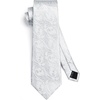 image:imageHISDERN Formal Floral Ties for Men and Pocket Square Set Mens Paisley Silk Tie for Wedding Party 34 x 59White8