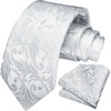 image:imageHISDERN Formal Floral Ties for Men and Pocket Square Set Mens Paisley Silk Tie for Wedding Party 34 x 59White8