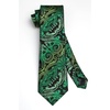 image:imageHISDERN Green Ties for Men Paisley Mens Tie Pocket Square Woven Classic Floral Tie Handkerchief Set Tuxedo Wedding Formal Necktie Emerald Forest Green