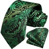 image:imageHISDERN Green Ties for Men Paisley Mens Tie Pocket Square Woven Classic Floral Tie Handkerchief Set Tuxedo Wedding Formal Necktie Emerald Forest Green