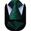 image:imageHISDERN Green Ties for Men Wedding Business Formal