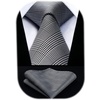 image:imageHISDERN Grey Ties for Men Wedding Business Formal