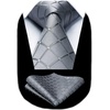 image:imageHISDERN Grey and Silver Ties for Men Wedding Business Formal