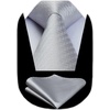 image:imageHISDERN Grey and Silver Ties for Men Wedding Business Formal