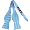 image:imageHISDERN Mens Bowties Polka Dot Selftie and Plaid Pretied Bow Ties for Men Light Blue Bowtie with Handkerchief Set for Wedding Party
