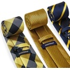 image:imageHISDERN Mens Ties Extra Long Tie and Pocket Square Set 63 Inch XL Tie Pack Collection Present Box Necktie Lot 3 PCSYellow Gold Plaid  Stripe