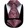 image:imageHISDERN Mens Ties Paisley Tie and Pocket Square Woven Classic Floral Mens Necktie Handkerchief Set for Wedding PartyA15burgundy