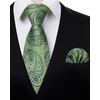 image:imageHISDERN Mens Ties Paisley Tie and Pocket Square Woven Classic Floral Mens Necktie Handkerchief Set for Wedding PartyA16dark Green