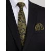 image:imageHISDERN Mens Ties Paisley Tie and Pocket Square Woven Classic Floral Mens Necktie Handkerchief Set for Wedding PartyA1gold