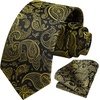 image:imageHISDERN Mens Ties Paisley Tie and Pocket Square Woven Classic Floral Mens Necktie Handkerchief Set for Wedding PartyA1gold