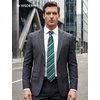 image:imageHISDERN Mens Ties Paisley Tie and Pocket Square Woven Classic Floral Mens Necktie Handkerchief Set for Wedding PartyB11green Stripe