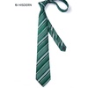 image:imageHISDERN Mens Ties Paisley Tie and Pocket Square Woven Classic Floral Mens Necktie Handkerchief Set for Wedding PartyB11green Stripe