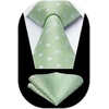 image:imageHISDERN Mens Ties Paisley Tie and Pocket Square Woven Classic Floral Mens Necktie Handkerchief Set for Wedding PartyB1sage Green Plaid