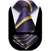 image:imageHISDERN Mens Ties Paisley Tie and Pocket Square Woven Classic Floral Mens Necktie Handkerchief Set for Wedding PartyB3blackpurple  Yellow Stripe