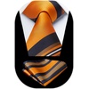 image:imageHISDERN Mens Ties Paisley Tie and Pocket Square Woven Classic Floral Mens Necktie Handkerchief Set for Wedding PartyB4orange  Navy Stripe