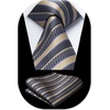 image:imageHISDERN Mens Ties Paisley Tie and Pocket Square Woven Classic Floral Mens Necktie Handkerchief Set for Wedding PartyB5brown  Purple