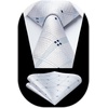 image:imageHISDERN Mens Ties Paisley Tie and Pocket Square Woven Classic Floral Mens Necktie Handkerchief Set for Wedding PartyWhite
