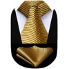 image:imageHISDERN Mens Ties Plaid Tie Men Oxford Business Casual Formal Collared Shirt