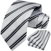 image:imageHISDERN Mens Ties Stripe Plaid Tie with Pocket Square Set Classic Woven Silk Necktie Handkerchief for Men Formal BusinessD01 White  Black