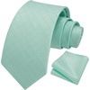 image:imageHISDERN Mens Ties Stripe Plaid Tie with Pocket Square Set Classic Woven Silk Necktie Handkerchief for Men Formal BusinessE04 Aqua