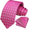image:imageHISDERN Mens Ties Stripe Plaid Tie with Pocket Square Set Classic Woven Silk Necktie Handkerchief for Men Formal BusinessF02 Pink