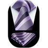 image:imageHISDERN Mens Ties Stripe Plaid Tie with Pocket Square Set Classic Woven Silk Necktie Handkerchief for Men Formal BusinessF03purple