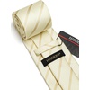 image:imageHISDERN Mens Ties Stripe Plaid Tie with Pocket Square Set Classic Woven Silk Necktie Handkerchief for Men Formal BusinessGold  Champagne