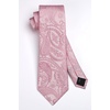 image:imageHISDERN Pink Mens Ties Paisley Tie and Pocket Square Set Formal Business Ties for Men Handkerchief Woven Classic Mens Necktie amp Wedding Party