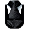 image:imageHISDERN Plaid Black Tie Handkerchief Woven Classic Mens Tie Paisley Floral Ties for Men Solid Classic