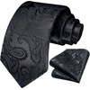 image:imageHISDERN Plaid Black Tie Handkerchief Woven Classic Mens Tie Paisley Floral Ties for Men Solid Classic